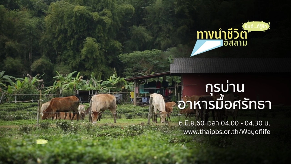 กุรบ่าน อาหารมื้อศรัทธา