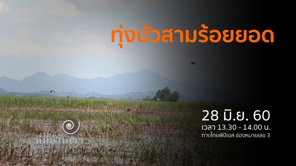 ทุ่งสามร้อยยอด