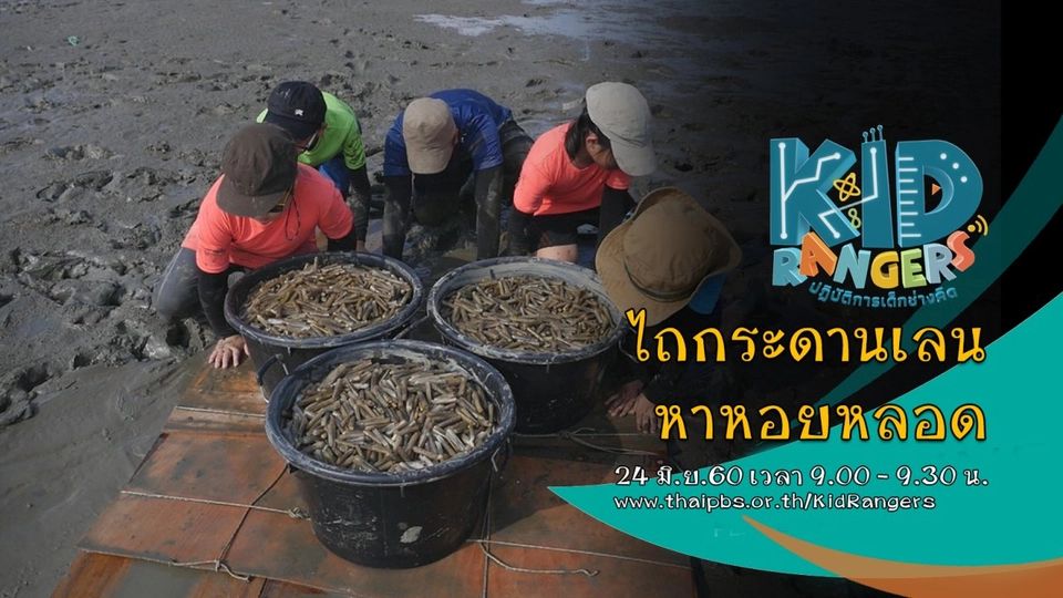 ไถกระดานเลนหาหอยหลอด