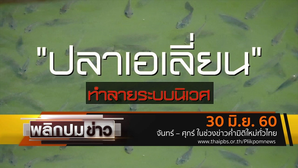 ปลาเอเลี่ยน ทำลายระบบนิเวศ