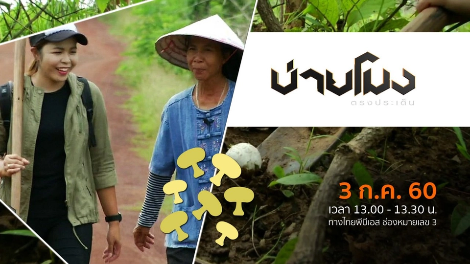 ประเด็นข่าว ( 3 ก.ค. 60)