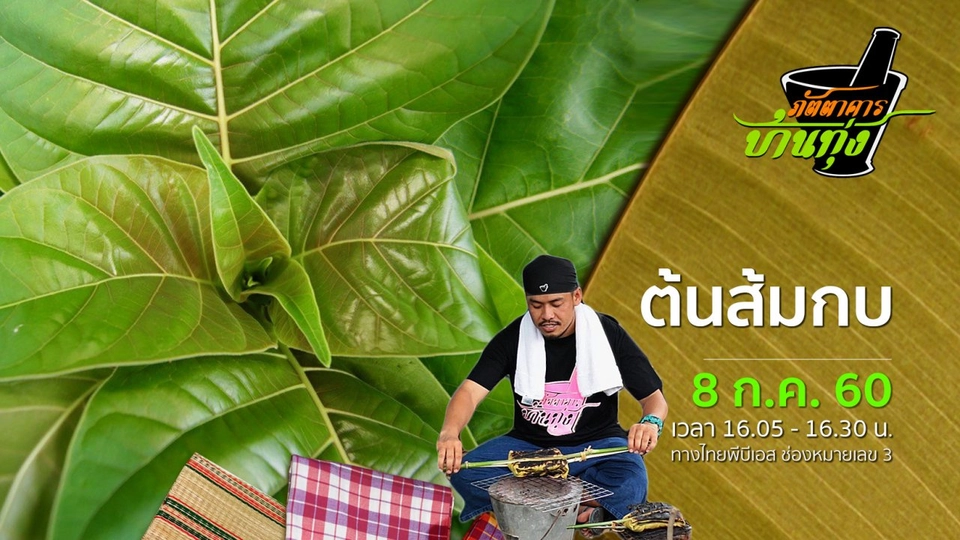 ต้นส้มกบ