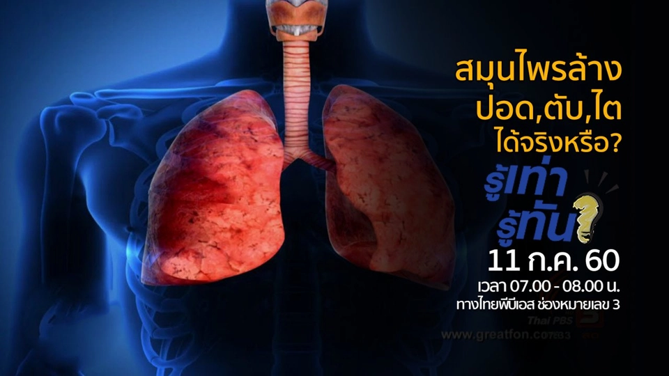 สมุนไพร..ล้าง ปอด, ตับ, ไต ได้จริงหรือ?