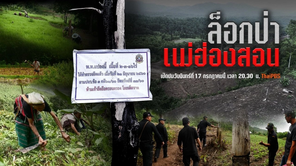 ล็อกป่าแม่ฮ่องสอน