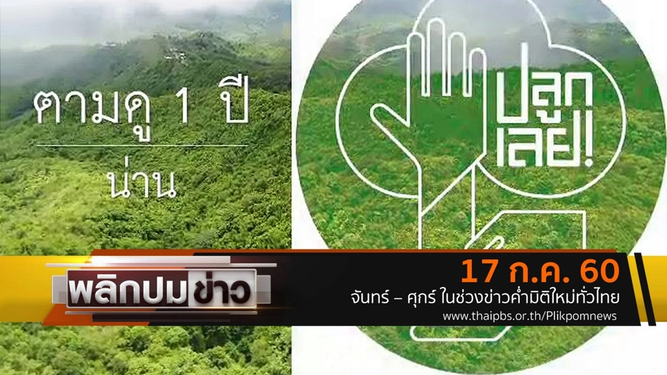 ตามดู 1 ปีน่าน ปลูกเลย