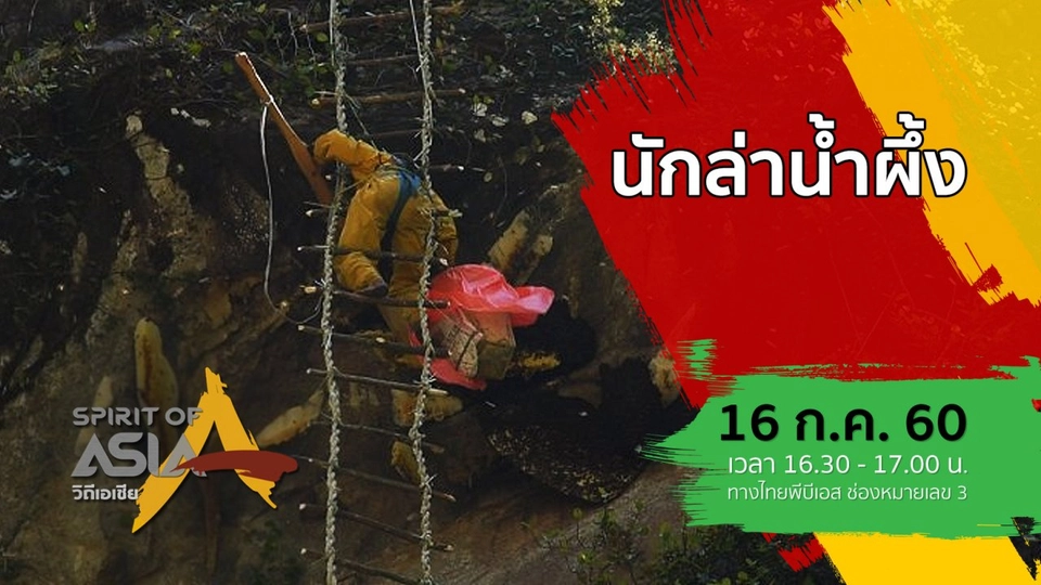 นักล่าน้ำผึ้ง