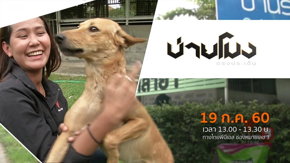 ประเด็นข่าว ( 19 ก.ค. 60)