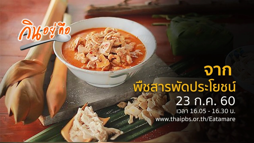 จาก...พืชสารพัดประโยชน์