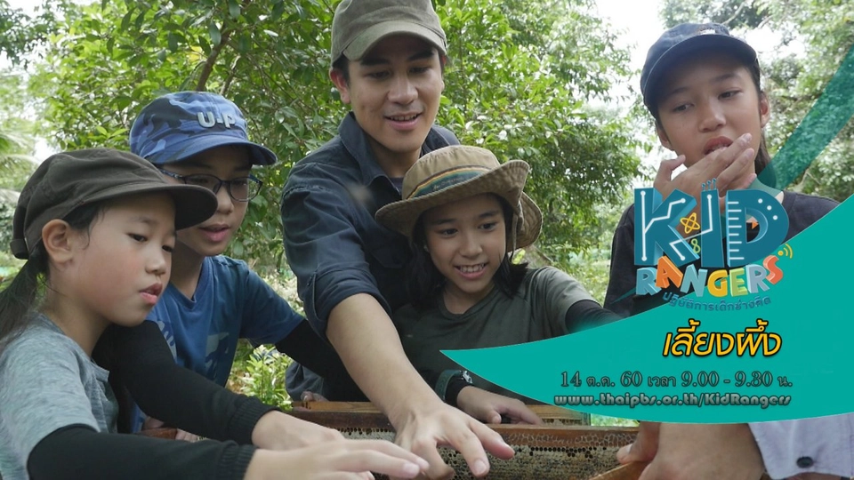 เลี้ยงผึ้ง