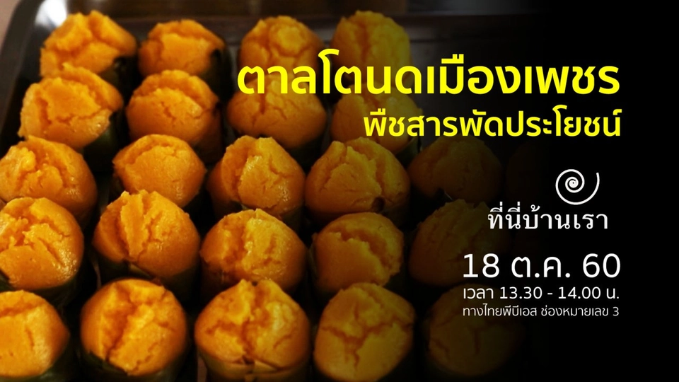 ตาลโตนดเมืองเพชรบุรี