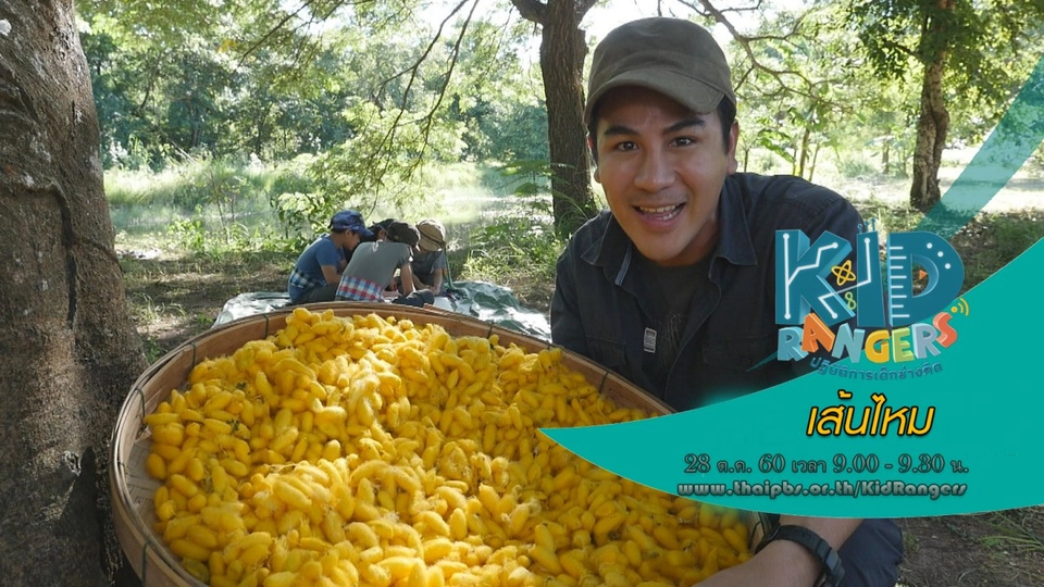 เส้นไหม