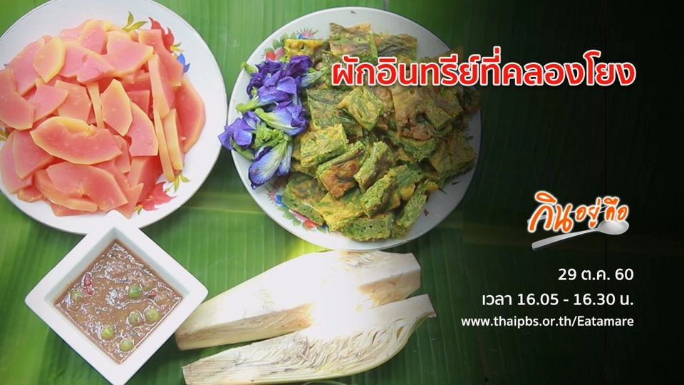 ผักอินทรีย์ที่คลองโยง