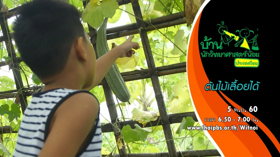 ต้นไม้เลื้อยได้