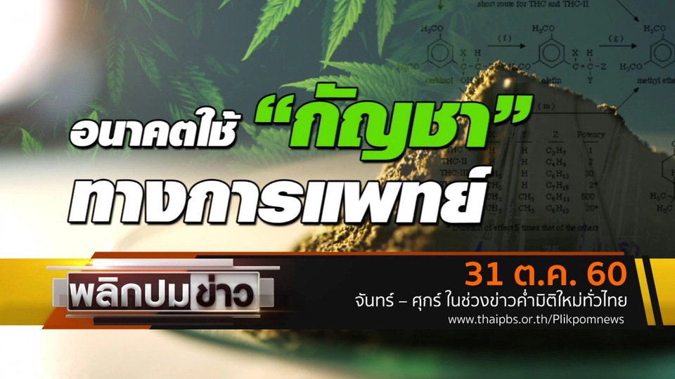 อนาคต "กัญชา" ทางการแพทย์