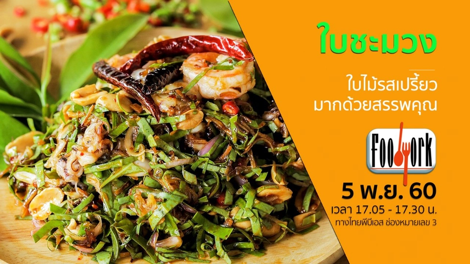 ใบชะมวง