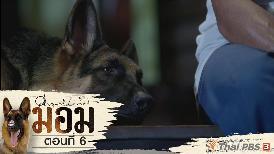 ตอนที่ 6