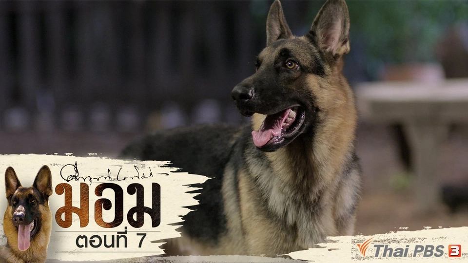 ตอนที่ 7