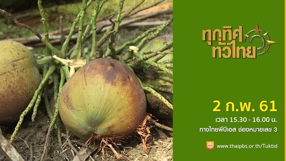 ประเด็นข่าว ( 2 ก.พ. 61)