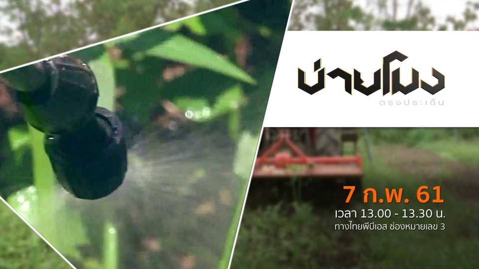 ประเด็นข่าว ( 7 ก.พ. 61)