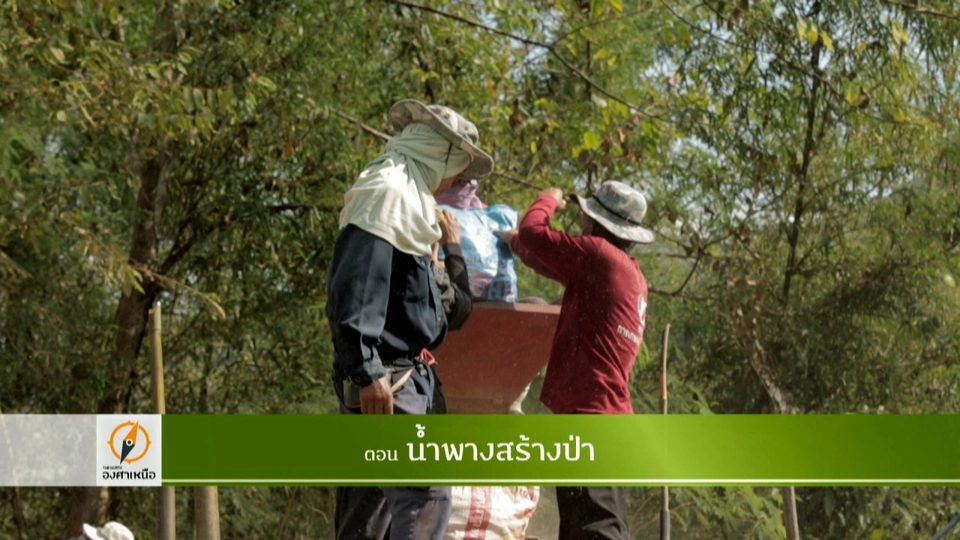 น้ำพางสร้างป่า​