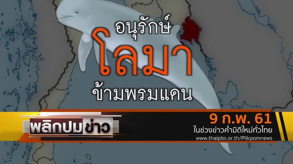 อนุรักษ์โลมาข้ามพรมแดน
