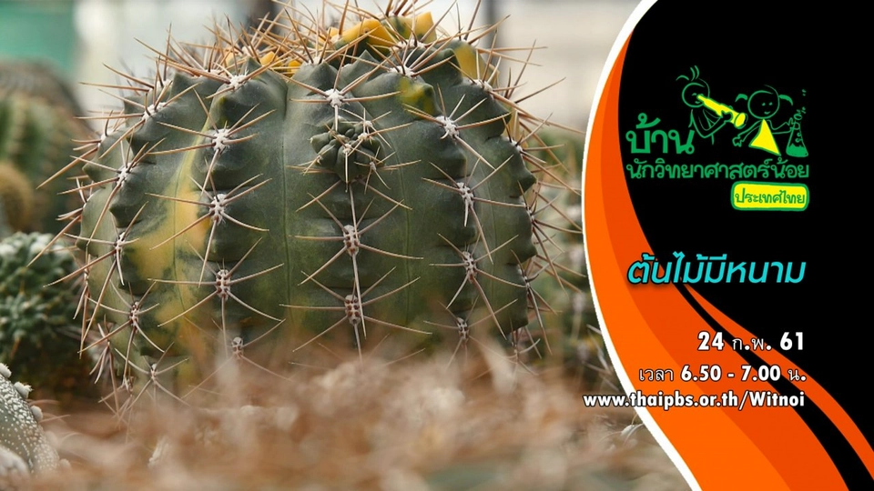 ต้นไม้มีหนาม