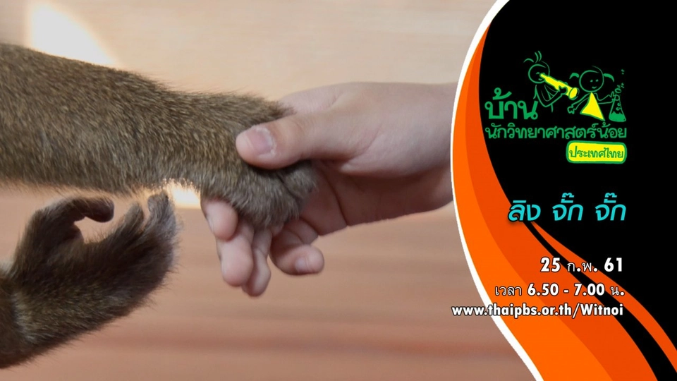 ลิง จั๊ก จั๊ก