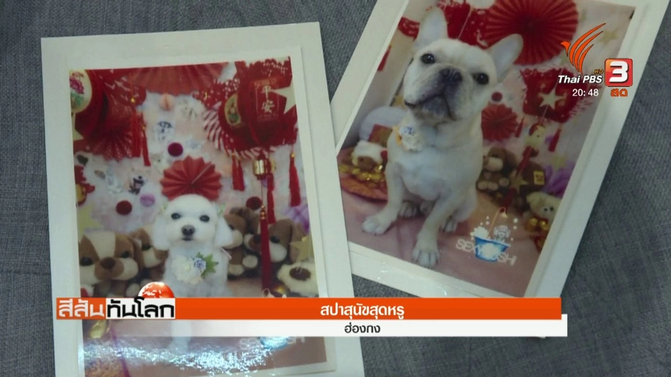 ประเด็นข่าว (21 ก.พ. 61)