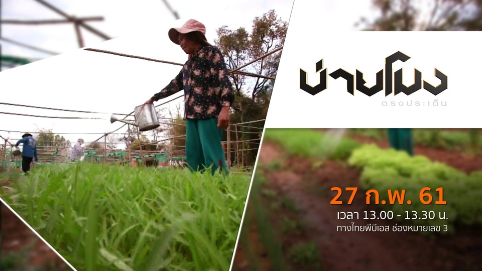 ประเด็นข่าว ( 27 ก.พ. 61)