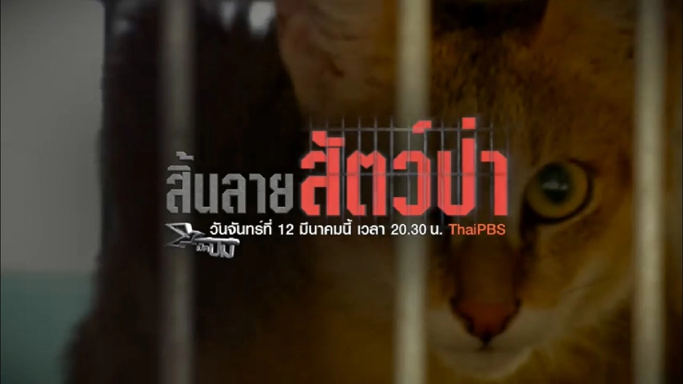 สิ้นลายสัตว์ป่า