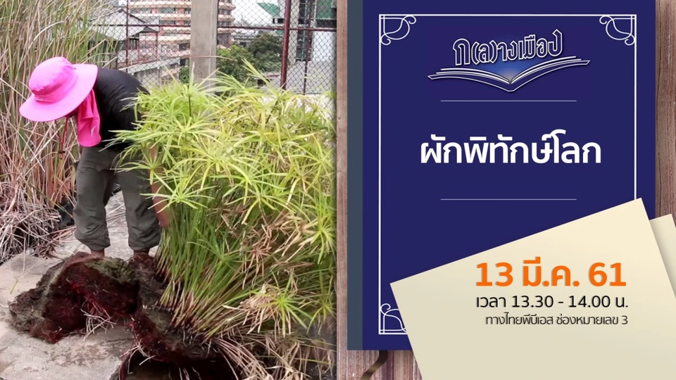 ผักพิทักษ์โลก