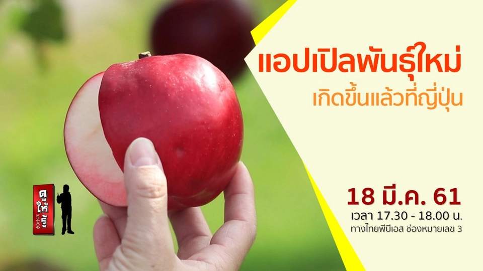 แอปเปิลพันธุ์ใหม่ เกิดขึ้นแล้วที่ญี่ปุ่น