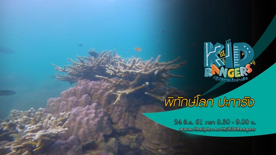 พิทักษ์โลก ปะการัง