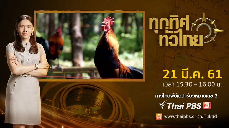 ประเด็นข่าว ( 21 มี.ค. 61)