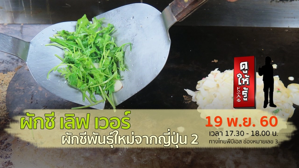 ผักชี เลิฟ เวอร์ ผักชีพันธุ์ใหม่จากญี่ปุ่น ตอนที่ 2