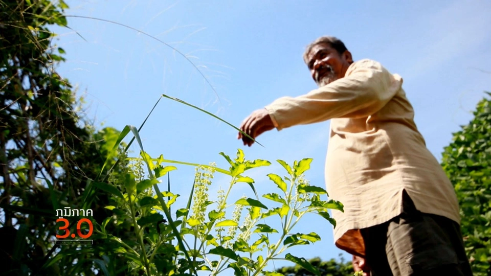 เด็กปอเนาะ on youtube, "นวดก่เจ้า" ...สไตล์ล้านนา, เมล็ดพันธุ์ดี มีแนว