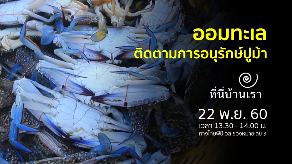 ออมทะเล