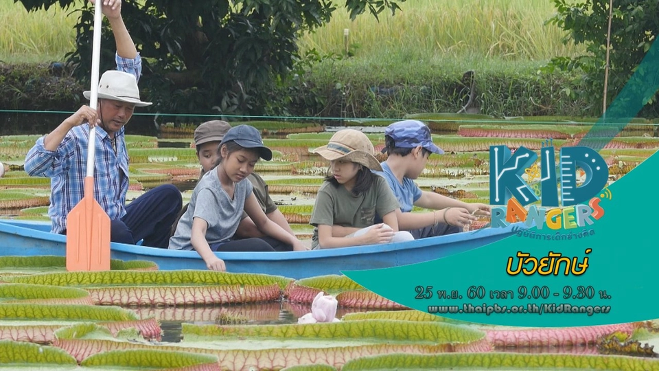 บัวยักษ์