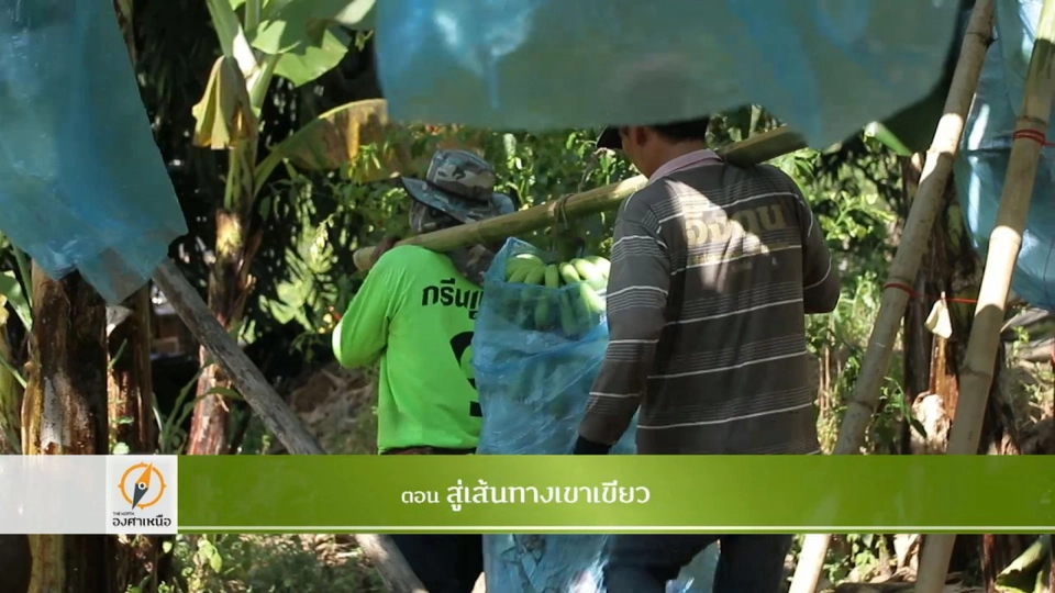 สู่เส้นทางเขาเขียว