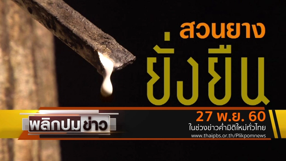 สวนยางยั่งยืน