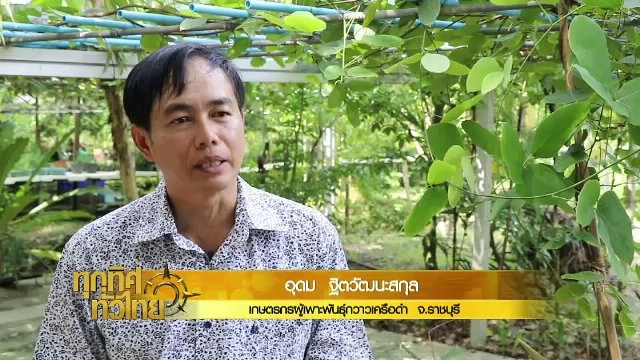 ประเด็นข่าว (1 ธ.ค. 60)