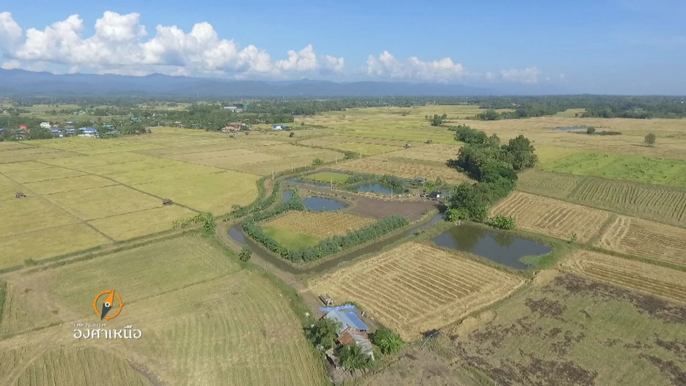 "เทพ" ตั้งปณิธาน