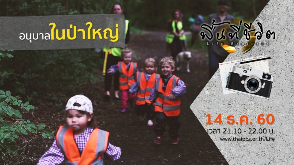 อนุบาลในป่าใหญ่