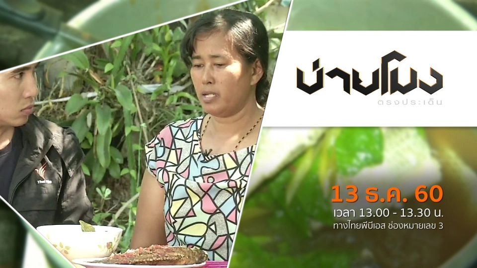 ประเด็นข่าว ( 13 ธ.ค. 60)