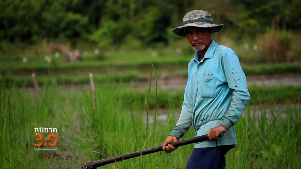 โฮงหมอ รอฮัก, สาธารณะ ณ หนองแต้, โรงเรียนชาวนา