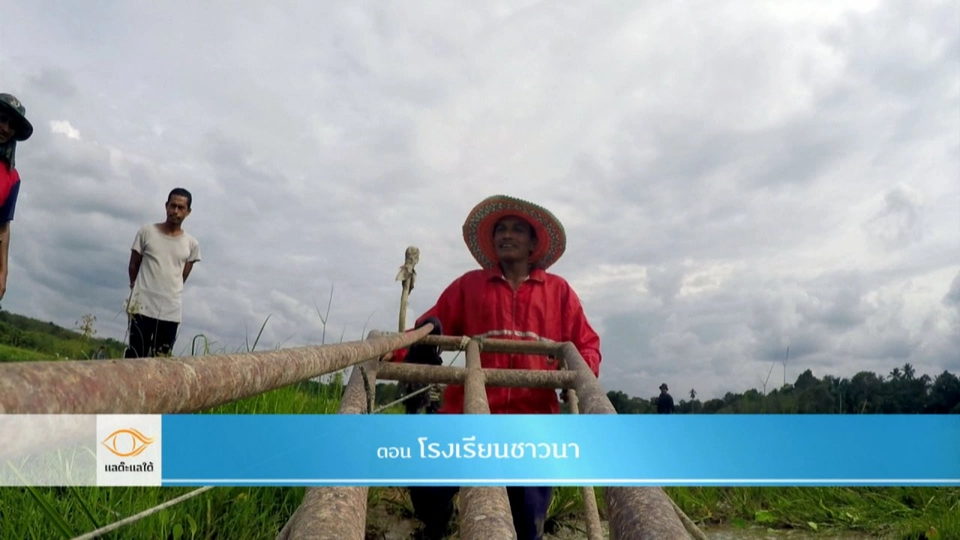 โรงเรียนชาวนา