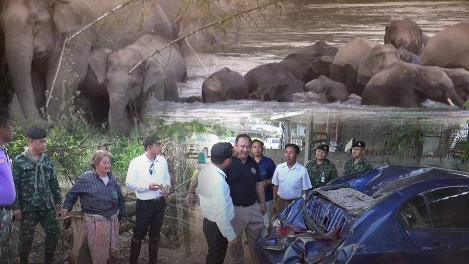 บูรณาการแก้ปัญหาช้างป่าบุกรุกชุมชน อ.หัวหิน จ.ประจวบคีรีขันธ์