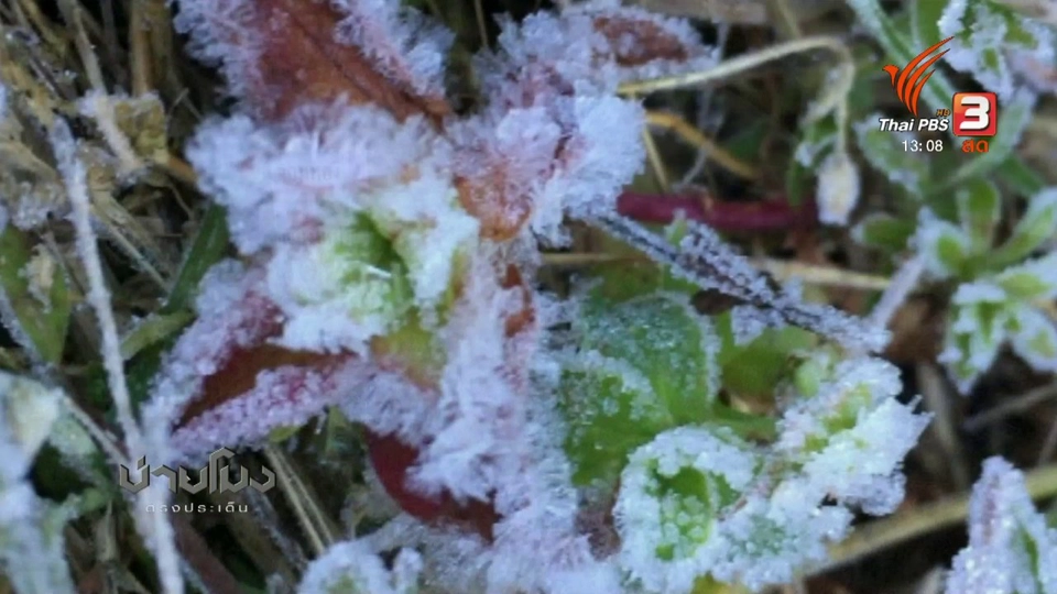 ประเด็นข่าว ( 20 ธ.ค. 60)