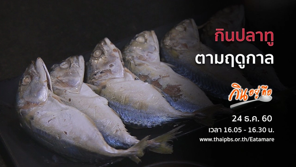 กินปลาทูตามฤดูกาล