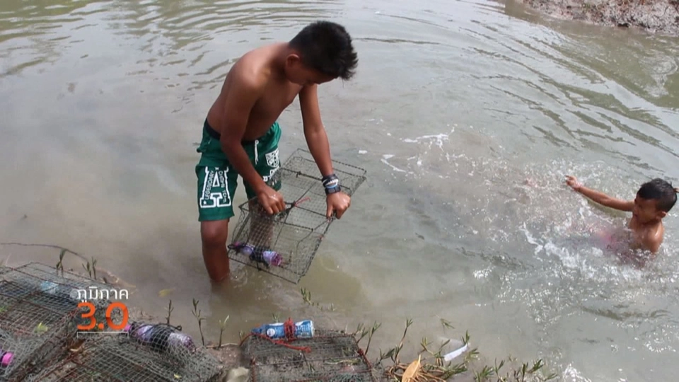 บัวใหญ่ ใจเกินร้อย, ท่าสักดักขยะ, ฮาลาล ล้านนา